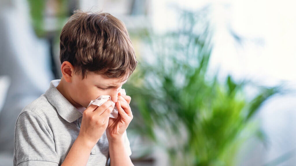 As 5 alergias mais comuns em crianças