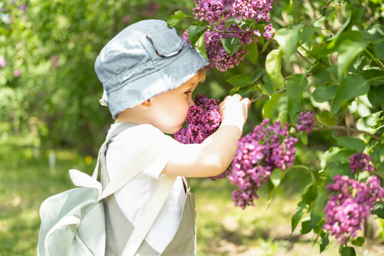 Allergie stagionali nei bambini: tutto quello che dovete sapere