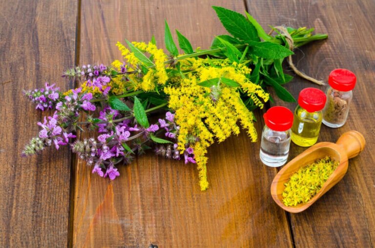 Differences Between Homeopathy and Herbal Medicine