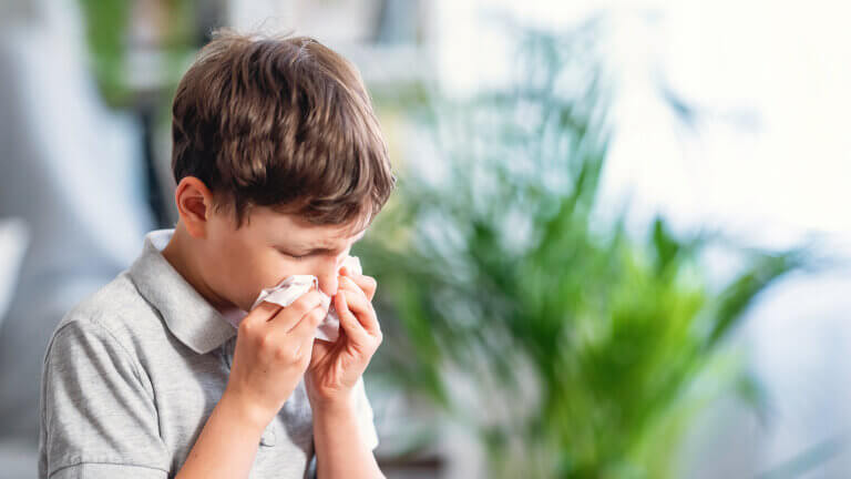 Las 5 alergias más frecuentes en los niños