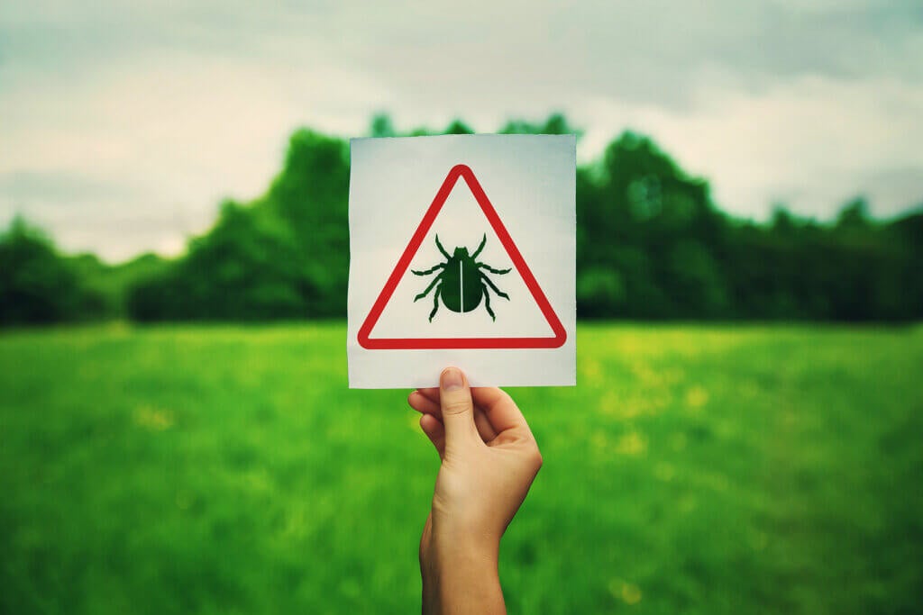 Causes and Risk Factors of Lyme Disease