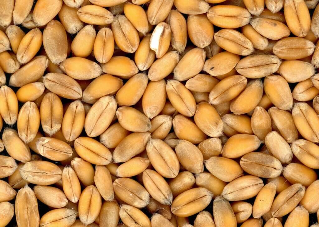 Cereales integrales son alimentos que producen hinchazón.