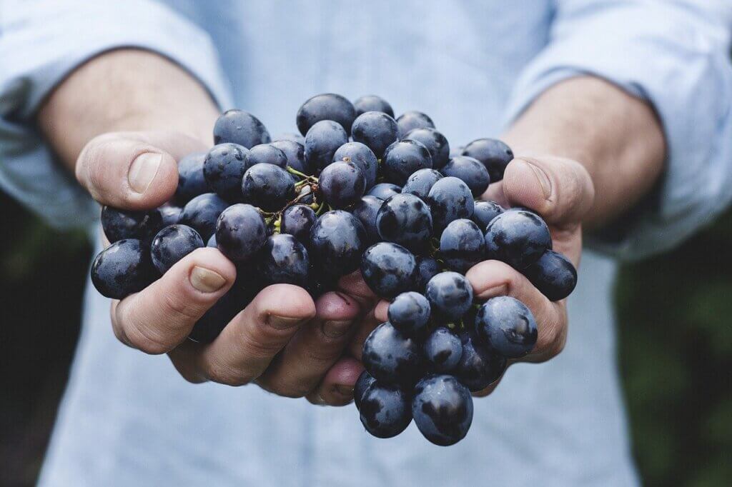 As uvas são um tipo de fruta.