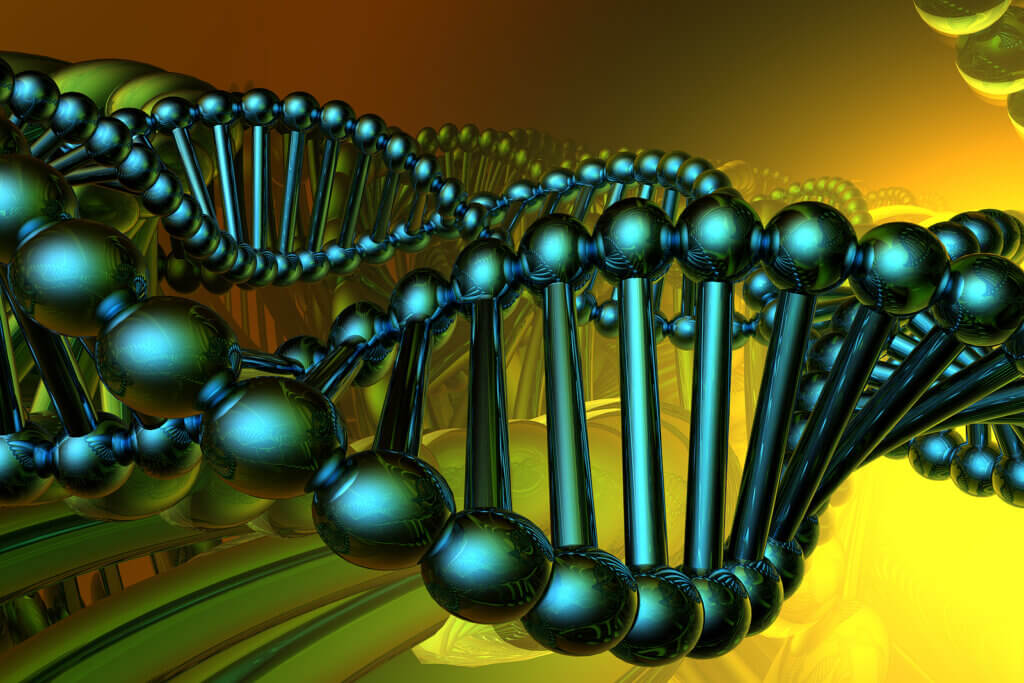 Los tipos de ADN