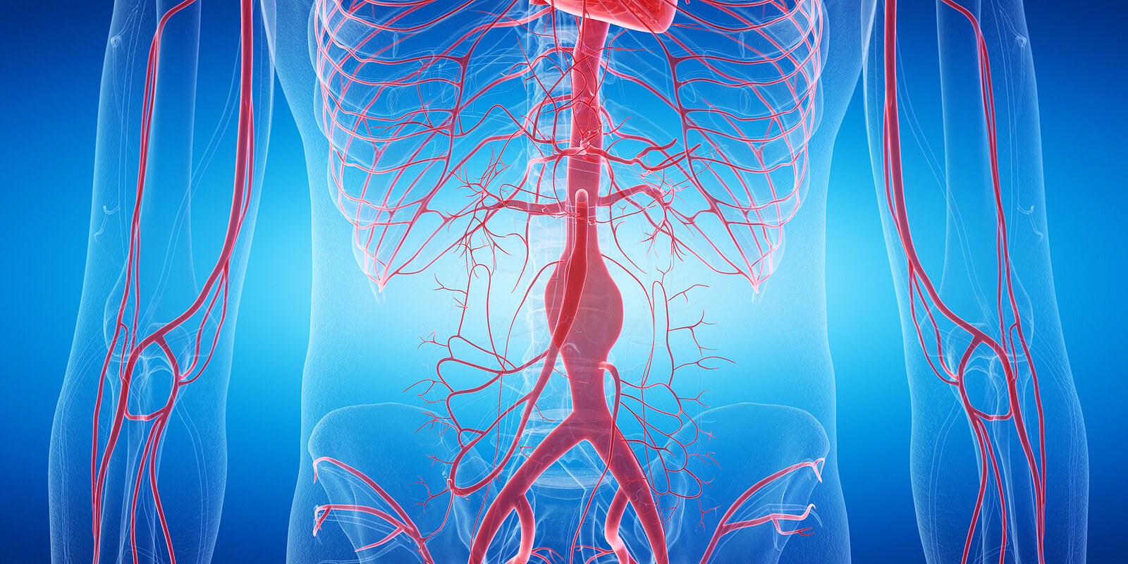 Entre as diferenças entre veias e artérias está sua origem