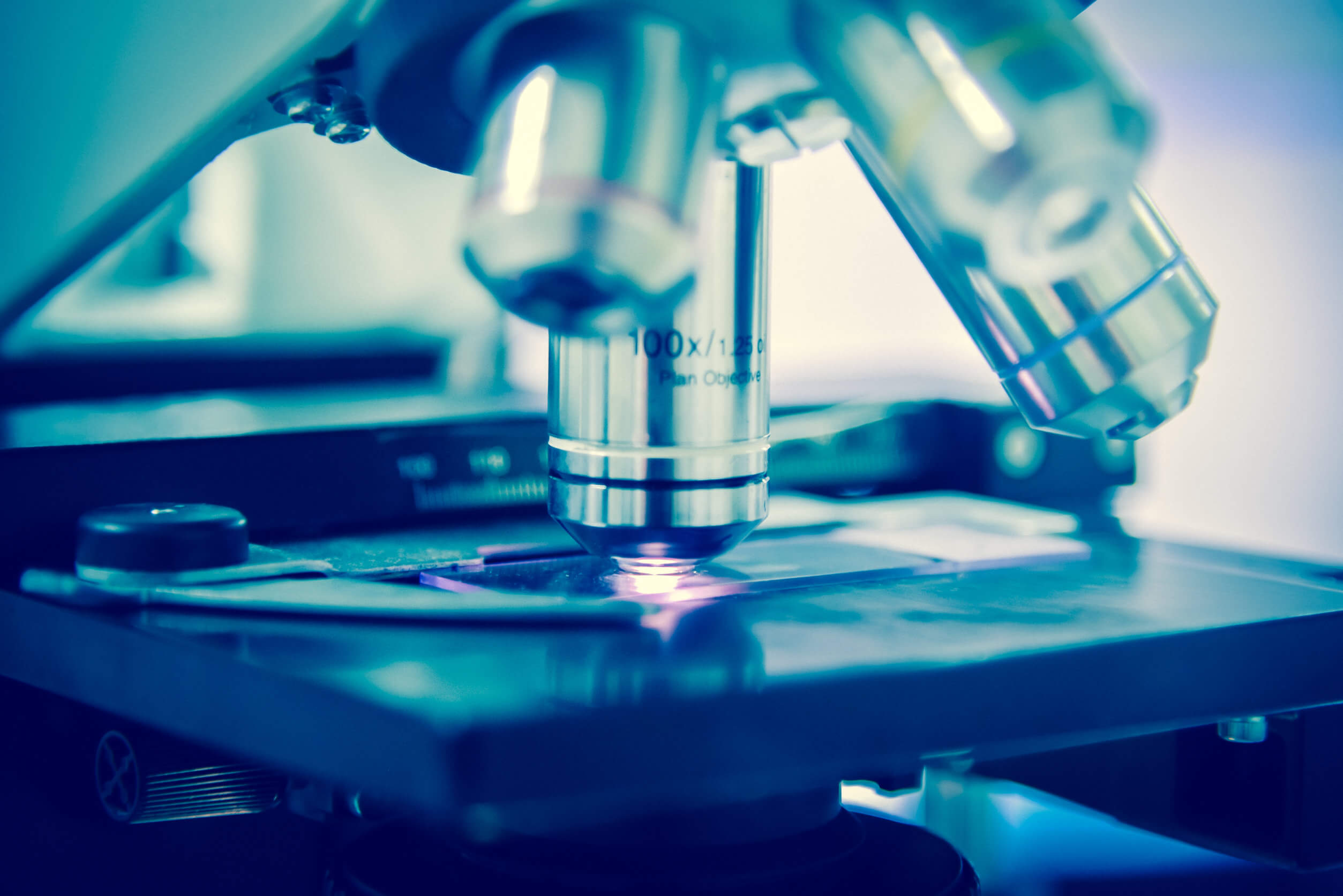 Les types de parasites comprennent les protozoaires