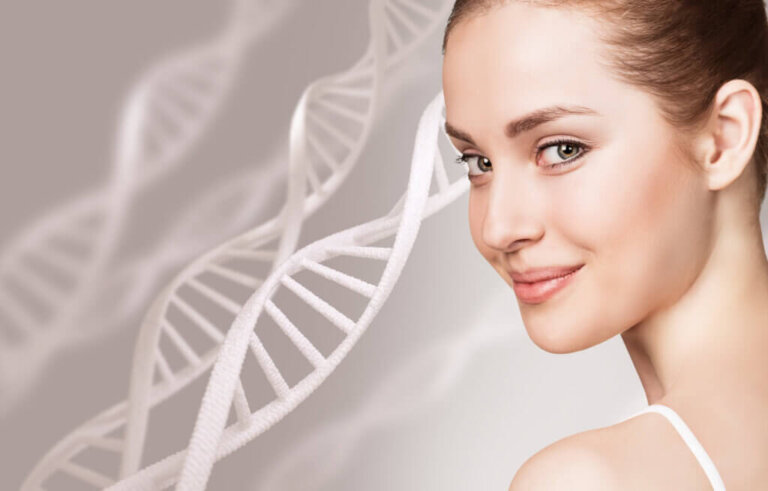 Che cos'è il collagene?