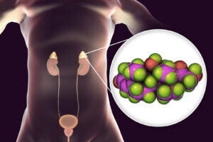 Los 11 tipos de corticoides y sus efectos