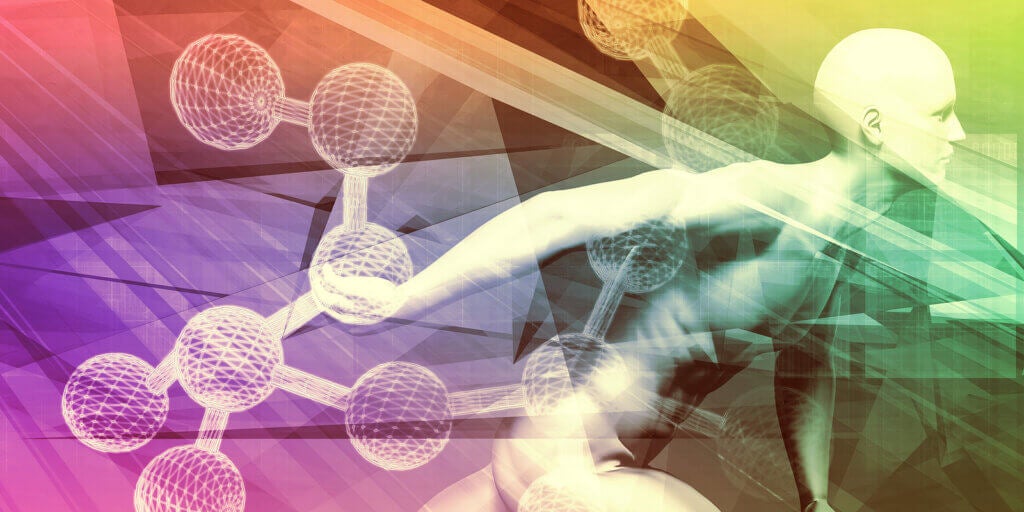 Différences entre les hormones et les neurotransmetteurs