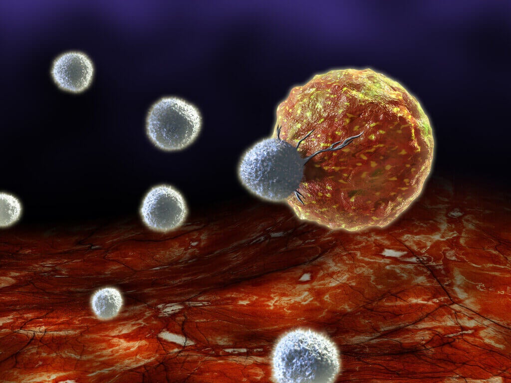 Qu'est-ce que l'immunosénescence?