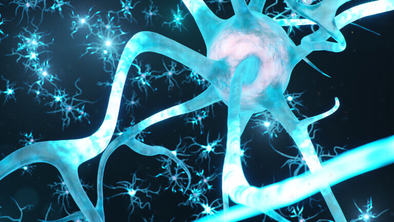 Neuronas: características, tipos y funciones
