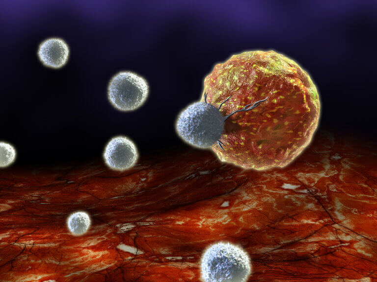 ¿Qué es la inmunosenescencia?