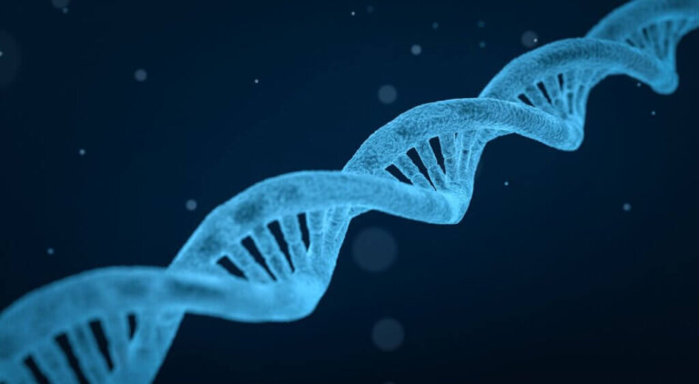 Le 10 malattie ereditarie più comuni