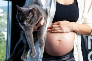 Toxoplasmosis en el embarazo: lo que debes saber