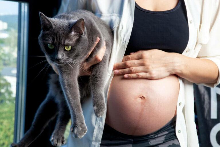 Toxoplasmosis During Pregnancy: What You Need to Know