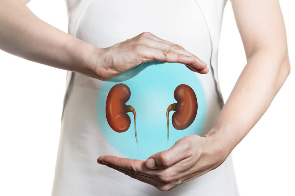 The 8 Most Common Kidney Diseases
