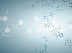 Differences Between Anabolism and Catabolism