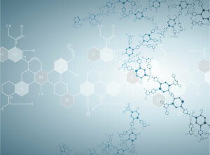 Diferencia entre anabolismo y catabolismo