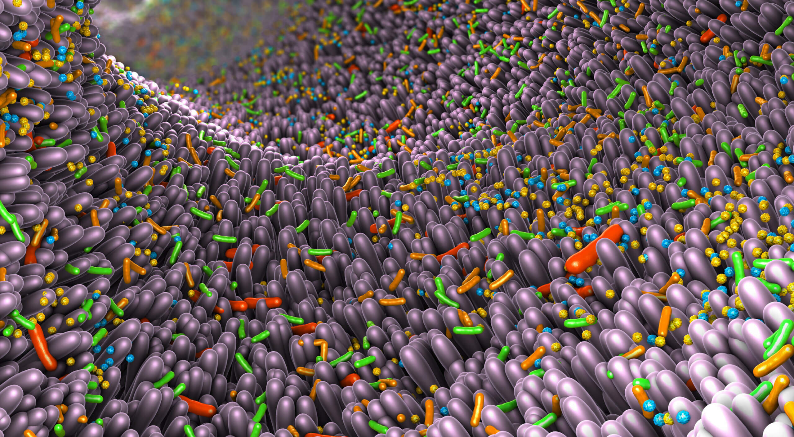 Para cambiar el metabolismo hay que tener en cuenta la microbiota