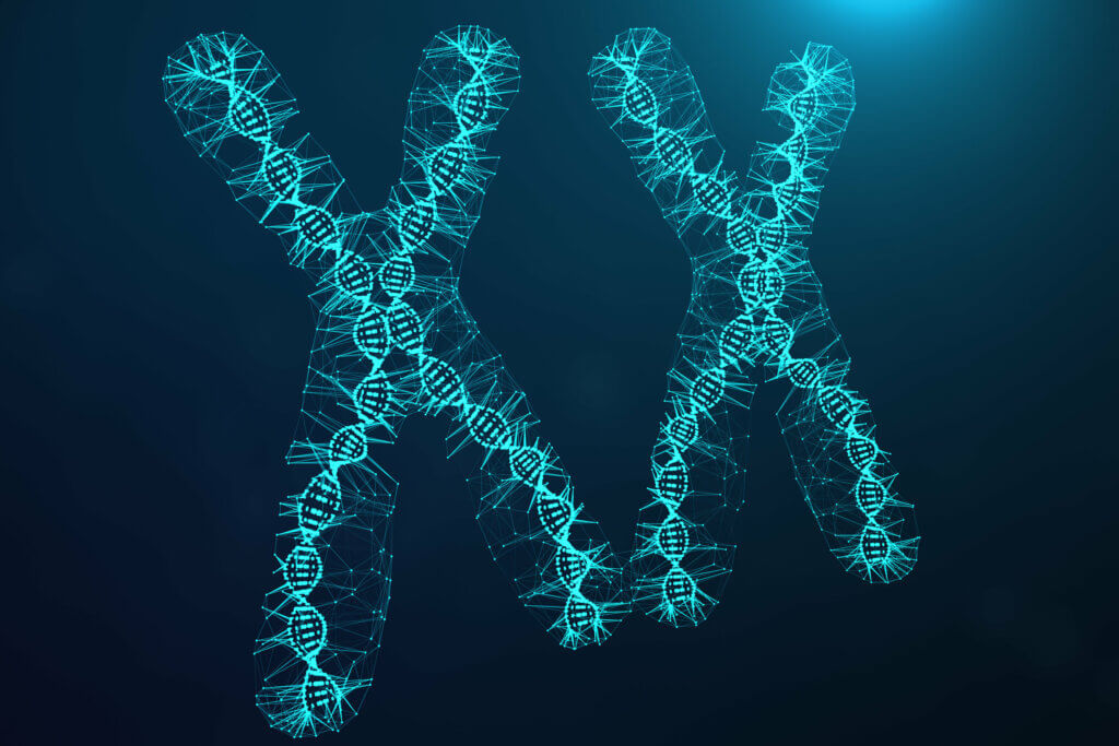 Leis de Mendel e genética atual