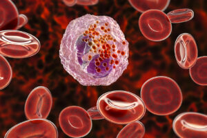 ¿Qué son los eosinófilos?