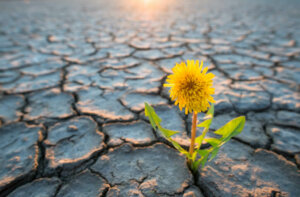 Eco-ansia, di cosa si tratta?