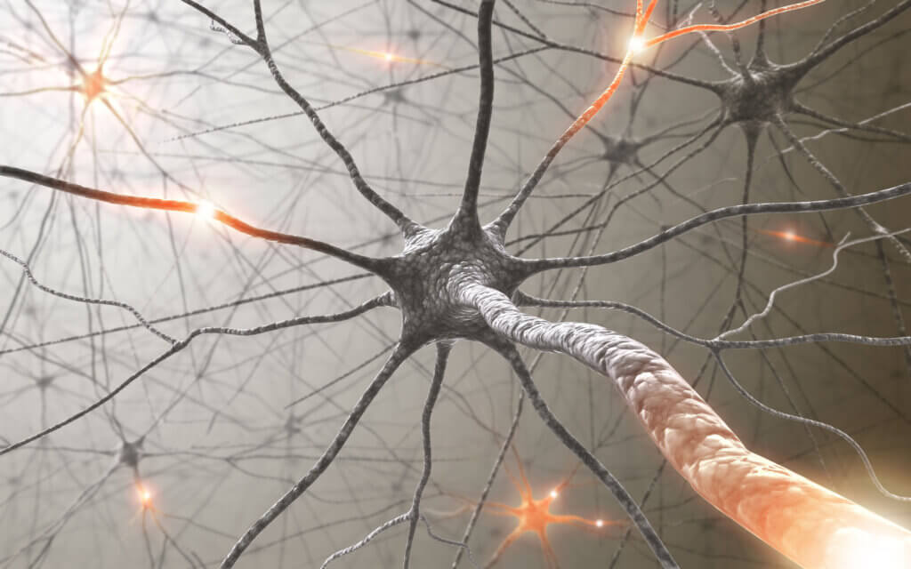 El potasio y la presión arterial no son las únicas funciones de este micronutriente