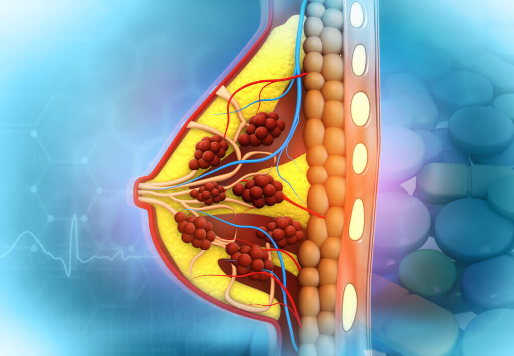 La hiperlactancia puede deberse a alteraciones en la glándula mamaria