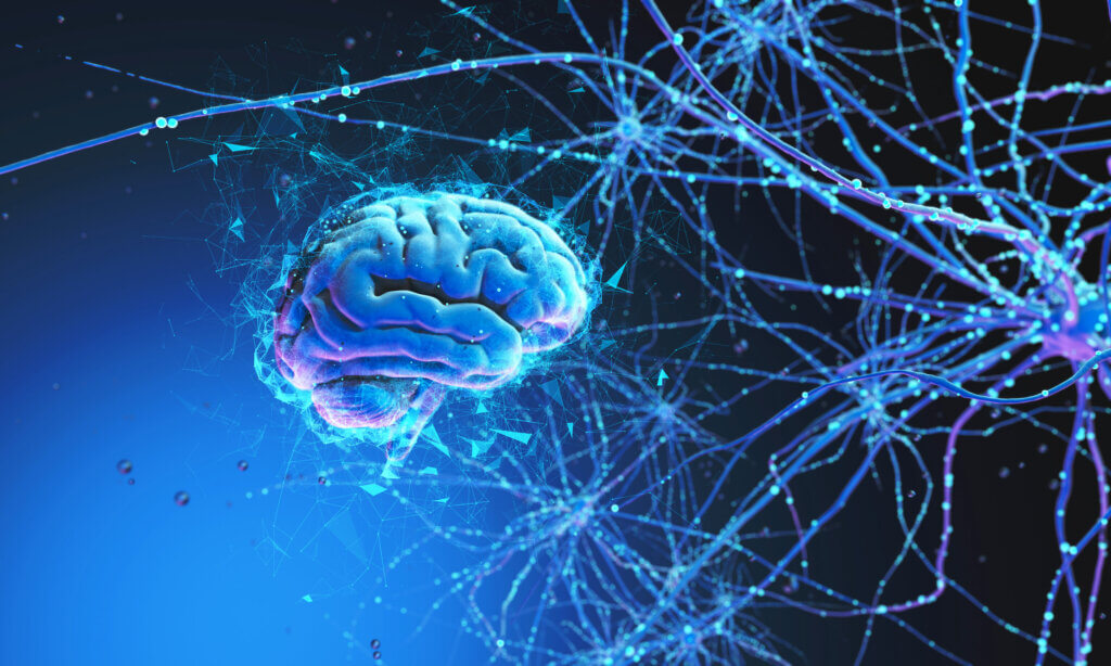 La afantasía y las lesiones cerebrales
