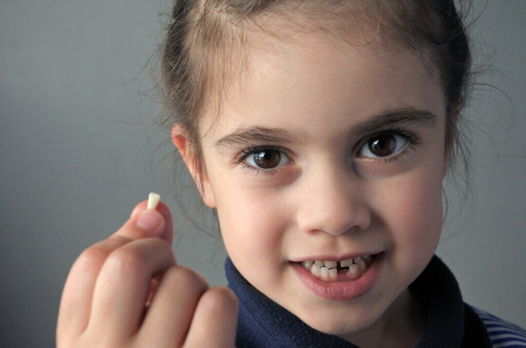 Las curiosidades sobre los dientes de los niños incluyen los dientes de leche