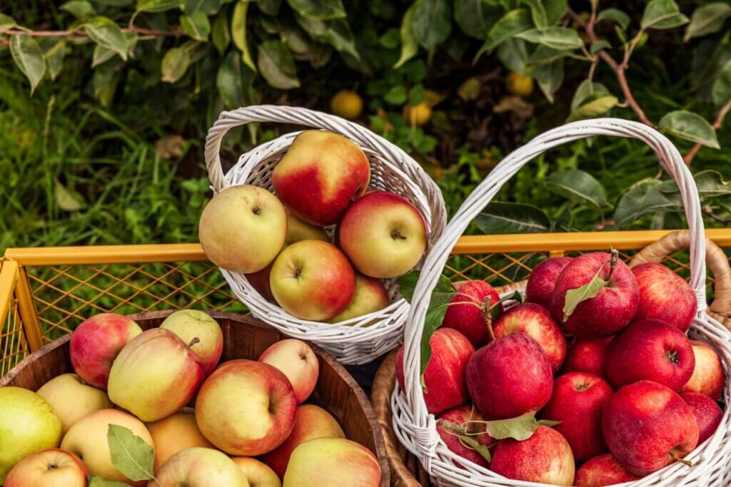 Las calorías vacías en las manzanas