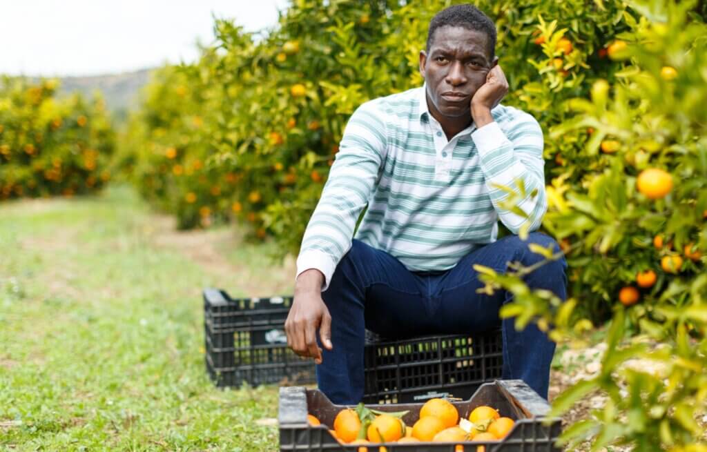 El henipavirus afecta mucho a los agricultores