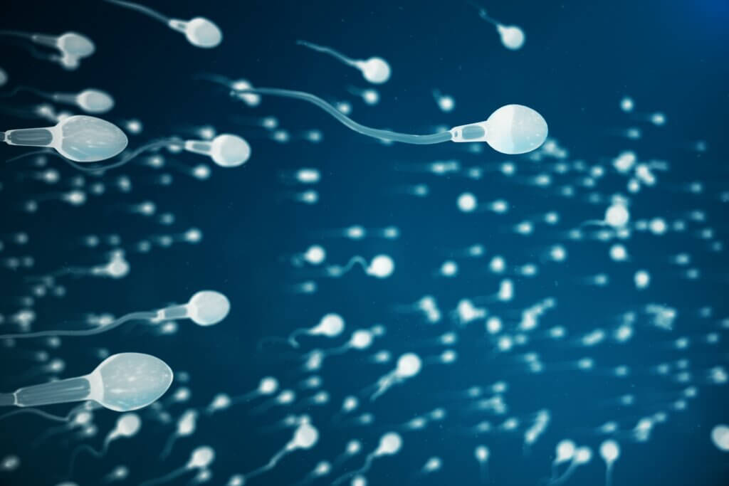 De bijzonderheden over sperma en zaadcellen zijn divers