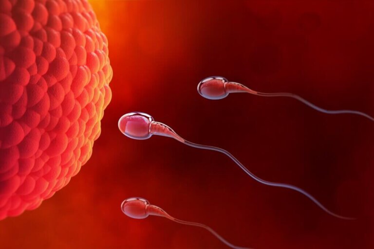 7 curiosità su sperma e liquido seminale