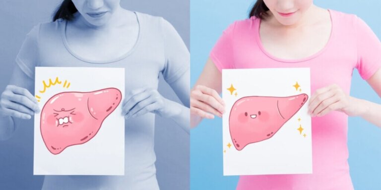 Fatty Liver: Symptoms, Causes, and Treatment