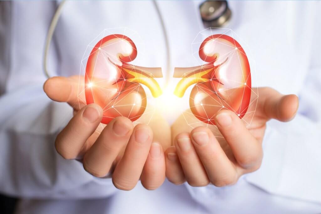 What’s the Link Between Hypertension and the Kidneys?
