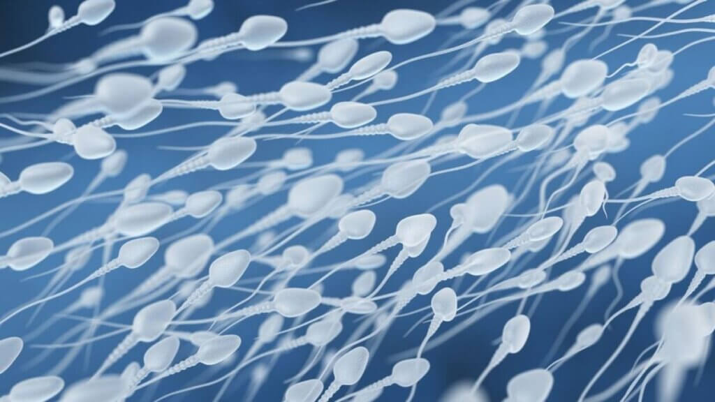 Some sperm.