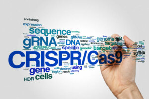 CRISPR (Repetições Palindrômicas Curtas Agrupadas e Regularmente Interespaçadas)