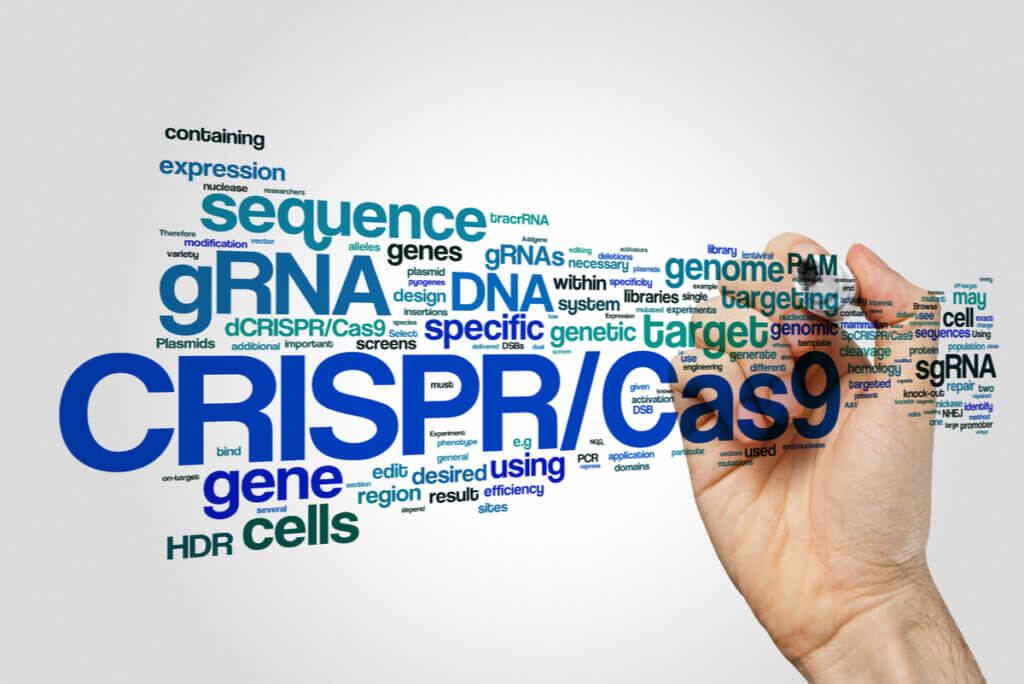 CRISPR (Repetições Palindrômicas Curtas Agrupadas e Regularmente Interespaçadas)