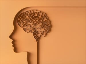 ¿Qué es la sustancia blanca del cerebro?