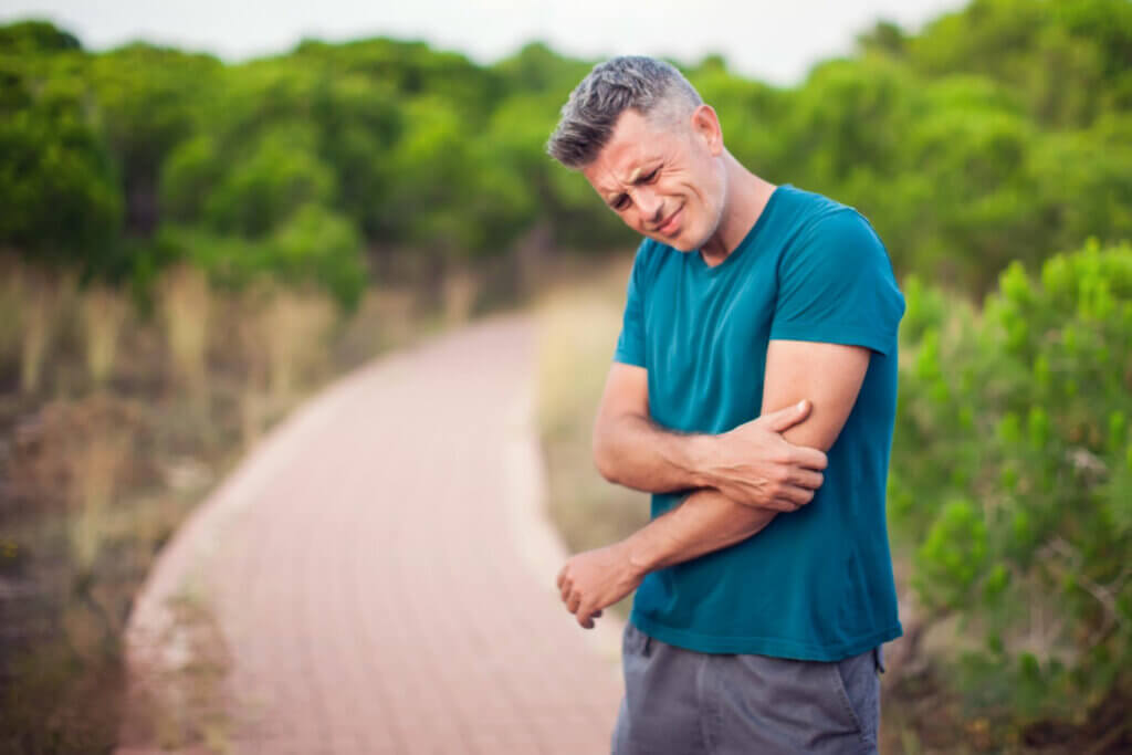 Los músculos se ven afectados por el envejecimiento