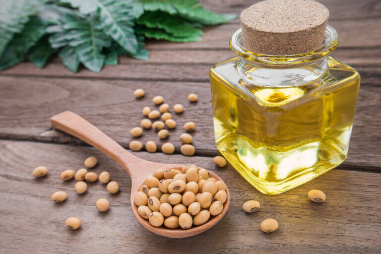7 aceites vegetales malos para la salud y sus alternativas