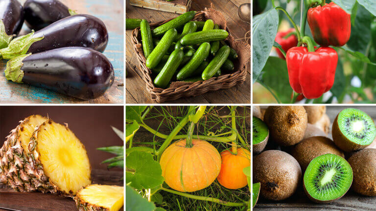 20 frutas y verduras que no producen gases ni hinchazón estomacal